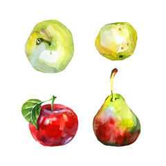 Watercolor apples and pear.