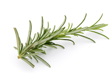 Fototapeta premium Rosemary twig on the isolated white background.
