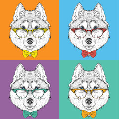 Image Portrait of husky in baseball cap with glasses. Pop art style vector illustration.