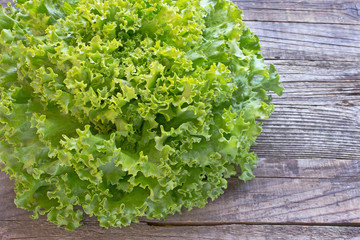 Fresh lettuce on wooden background