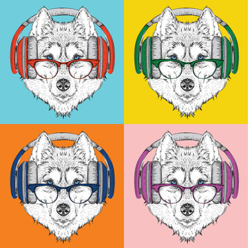 Image Portrait of Husky in headphones with glasses. Pop art style vector illustration.