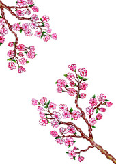 Sakura Branch Painting