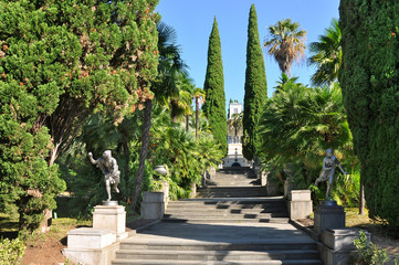 The arboretum in Sochi.