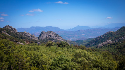 Forest Hills of Ficuzza on Sicily