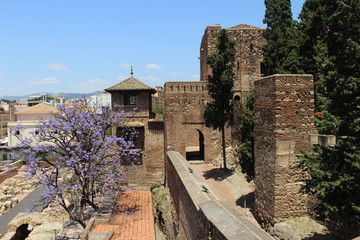 Fototapeta na wymiar Alcazaba de Málaga en primavera