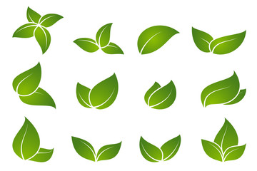 Green leaf icon set.