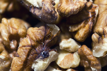 Walnuts background