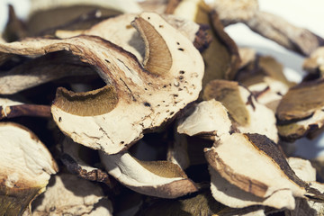 Dried porcini mushroom