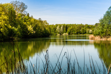 Hackenbroich - Ruhe am Waldsee