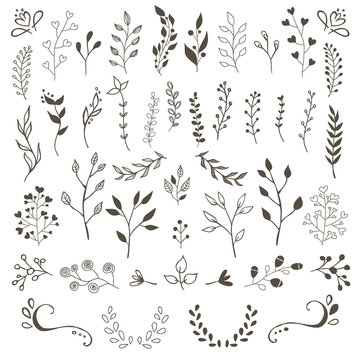 Hand Drawn Vector Floral Elements
