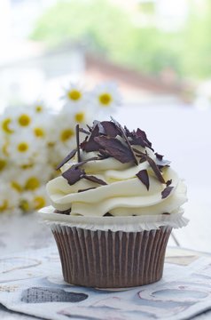 Muffin. Cupcake with chocolate and daisy flower.
