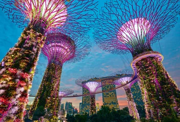 Foto op Canvas Singapore city skyline. Gardens by the Bay © SJ Travel Footage