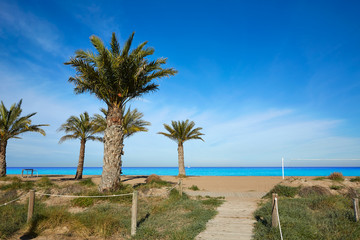 Denia Las Marinas beach palm trees in Spain