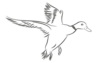 Летящая утка