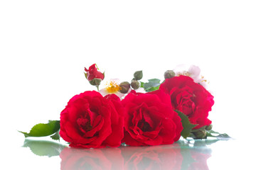 bouquet of beautiful red roses