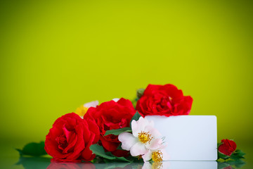 bouquet of beautiful red roses