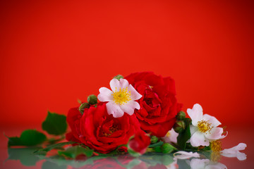 bouquet of beautiful red roses