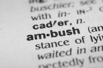 Obraz premium Ambush