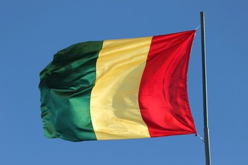 Drapeau de la République de Guinée