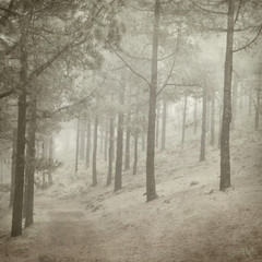 textured old paper background