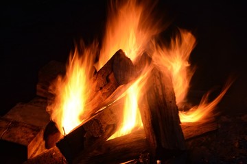 
large campfire in the night