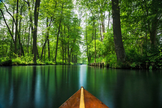 Fototapeta Flow line through the recreation area Spree forest - Spree Wald near Berlin in summer. Boat trip through the flow lines Spree forest