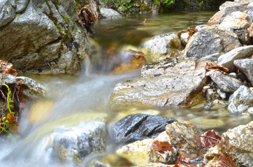 Naklejka premium Sentiero per Montalto - Gambarie - Aspromonte