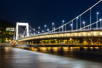 Fototapeta na wymiar The Elizabeth Bridge across the Danube River in Budapest