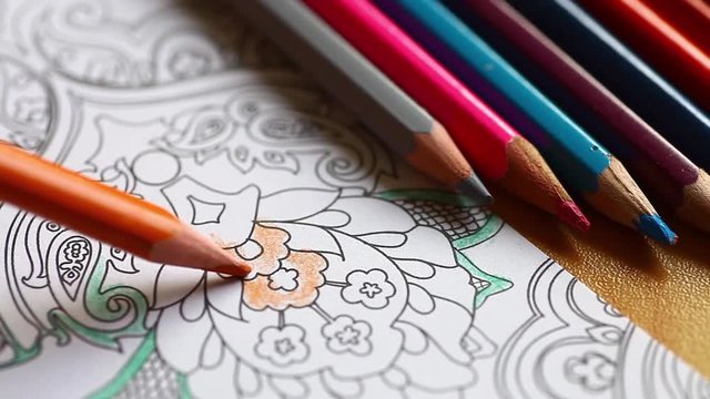 Color video of a hand holding a pencil and coloring an adult coloring book.