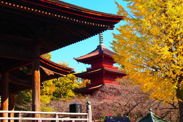 Nakayama Hokekyo Temple Ichikawa Japan