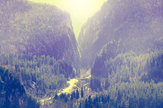Road in the gorge to Ritsa lake. - Powered by Adobe