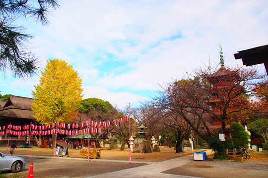 Nakayama Hokekyo Temple Ichikawa Japan