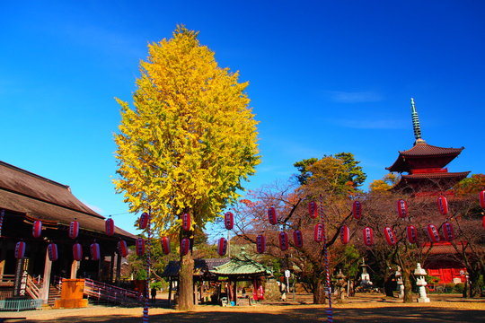 Nakayama Hokekyo Temple Ichikawa Japan
