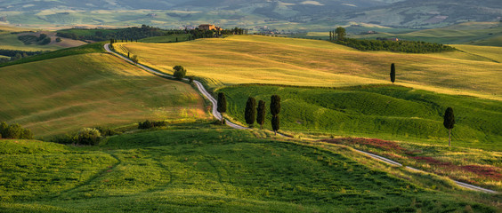 Tuscan countryside