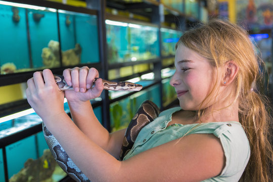 Caucasian Girl Admiring Snake In Pet Store