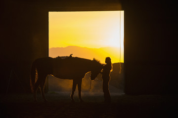 Woman with horse in stable