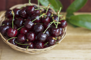 ripe and juicy cherries