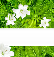 Frame branch tropical leaves and white flowers lily