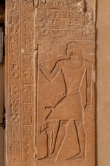 Carving at tomb of Mereruka.