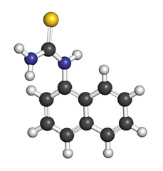 Alpha-naphthylthiourea (ANTU) rodenticide molecule.