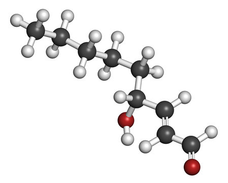 4-Hydroxynonenal (HNE) molecule.
