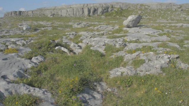 Famous Burren National Park Landscape In County Clare, Ireland, Special Area of Conservation - Flat video profile.
