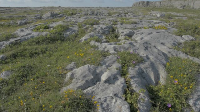Famous Burren National Park Landscape In County Clare, Ireland, Special Area of Conservation - Flat video profile.