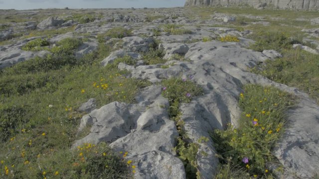 Famous Burren National Park Landscape In County Clare, Ireland, Special Area of Conservation - Flat video profile.