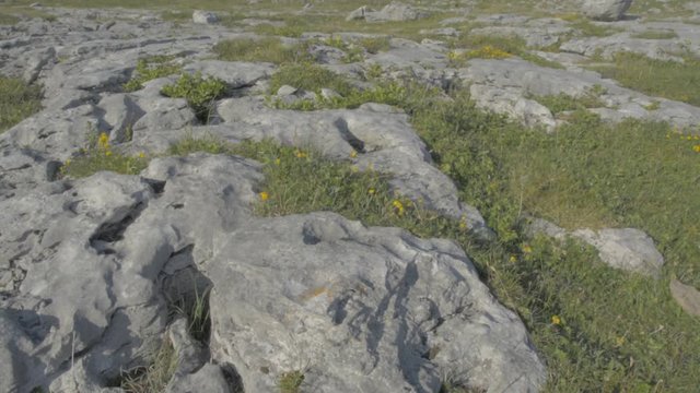 Famous Burren National Park Landscape In County Clare, Ireland, Special Area of Conservation - Flat video profile.