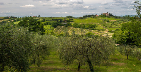 Tuscan countryside