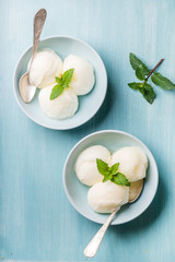 lemon sorbet ice cream with mint - obrazy, fototapety, plakaty