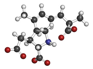 Domoic acid algae poison molecule. Responsible for amnesic shellfish poisoning.