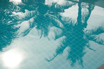 Fototapeta premium Palm Reflex In A Pool