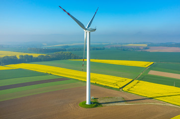 Windmills on the field
